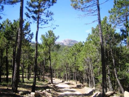 Al fondo Penyagolosa